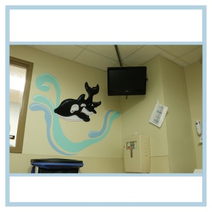 3d-mural-orca-wall-design-healthcare-art-decals