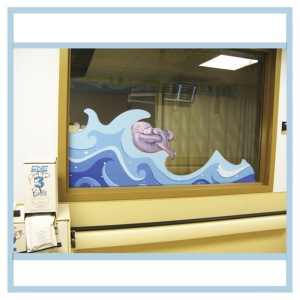 window-decals-manatees-hospital-art