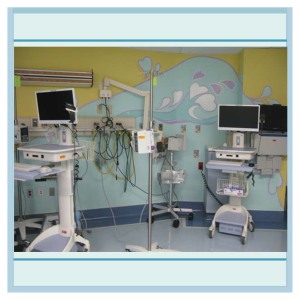 icu-artwork-wall-murals-in-hospitals-healthcare-design - Copy