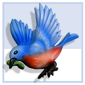 bluebird with worm