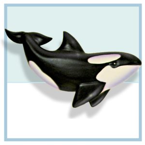 baby orca