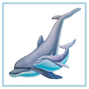 Dolphin Bliss