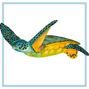 Sea Turtle 1