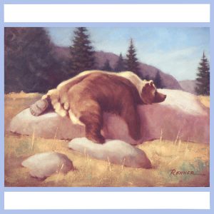 bear resting on rock