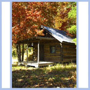 hidden cabin