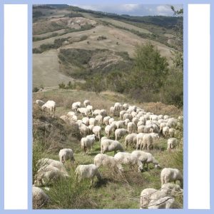 tuscany hillside