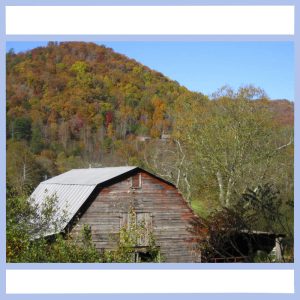 georgia barn