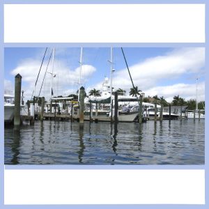 docked boats