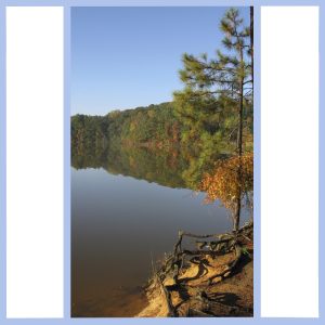 calm lake in georgia