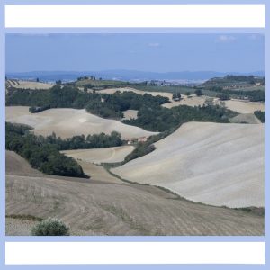 crete senesi