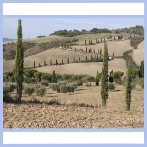 tuscan countryside