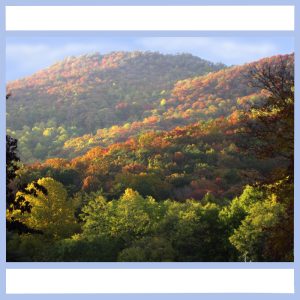 georgia mountains in fall