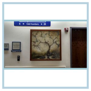 hospital art, healthcare design